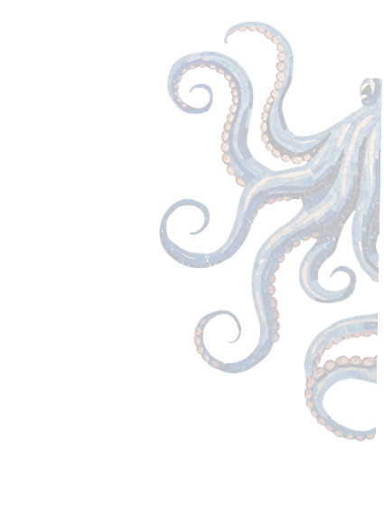 octo image