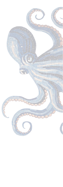 octo image