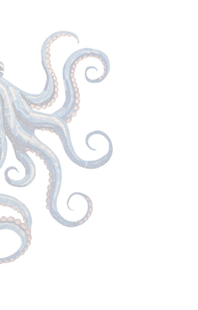 octo image