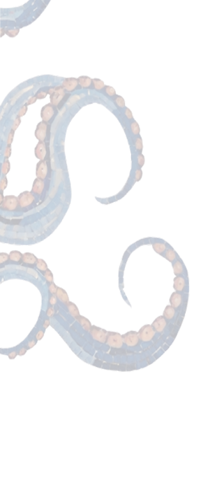 octo image