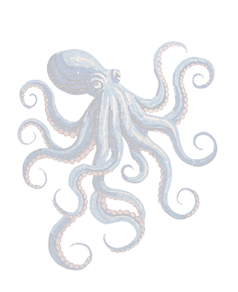 octo image