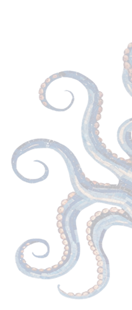octo image