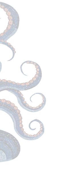 octo image