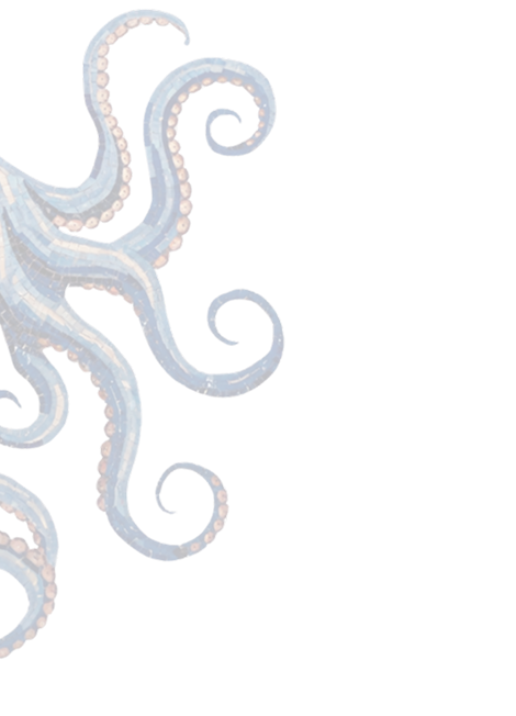 octo image