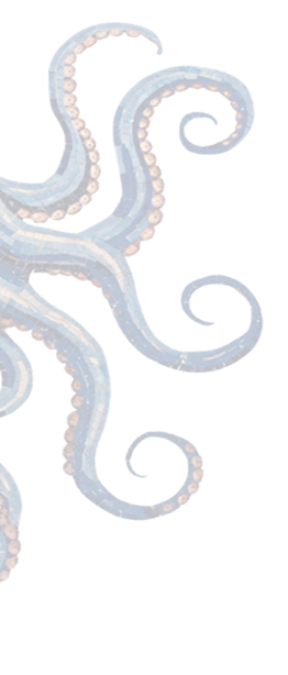 octo image